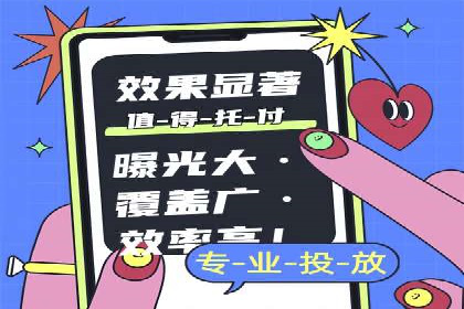 百度竞价广告的投放策略与成功案例分析